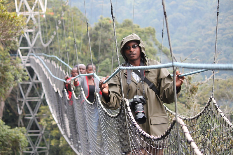 1 day canopy walk adventure in Nyungwe Forest National Park will take you to Rwanda's southwest, towards the border with Burundi. Nyungwe is well known for its endemic species of flora and fauna, as well as the rich biodiversity of the landscape, such as the bamboo thicket, swamps, marshes, and heath that combine the beauty of the forest. Nyungwe offers the most adventurous, amazing, wonderful, and incredible canopy walk. Itinerary overview of 1 day canopy walk adventure in Nyungwe Forest National Park Pick up from Kigali to Nyungwe Canopy walk in Nyungwe Transferring to Kigali