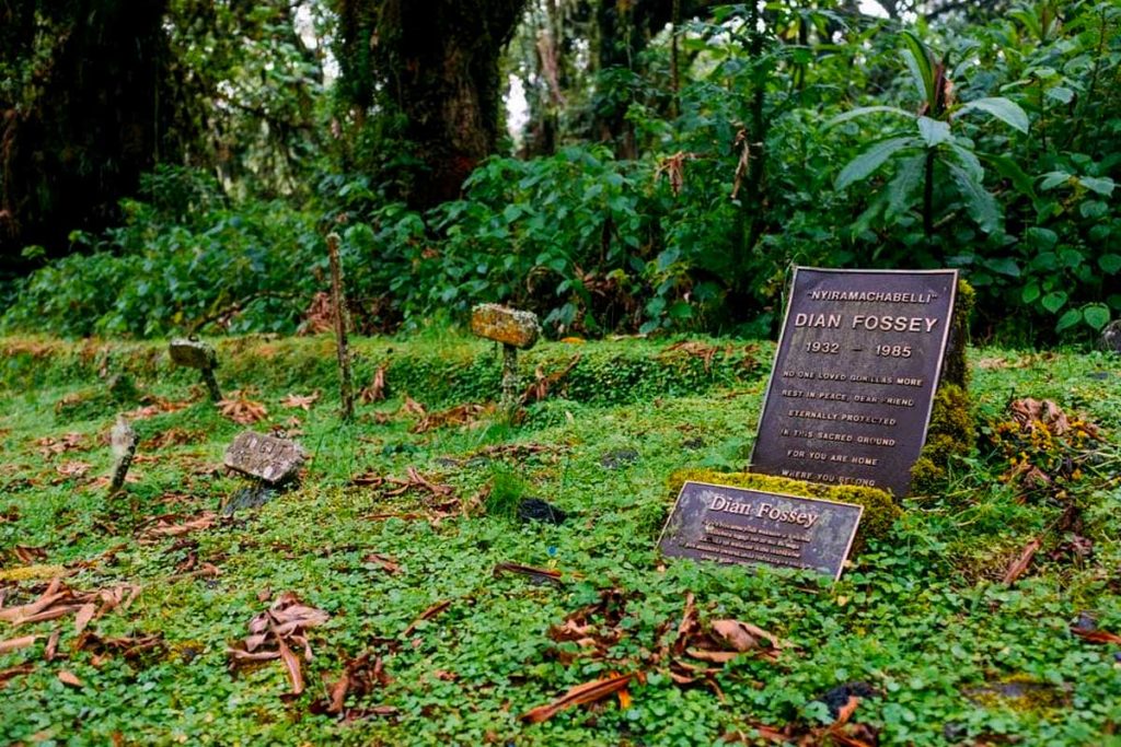 Things to do in volcanoes national park