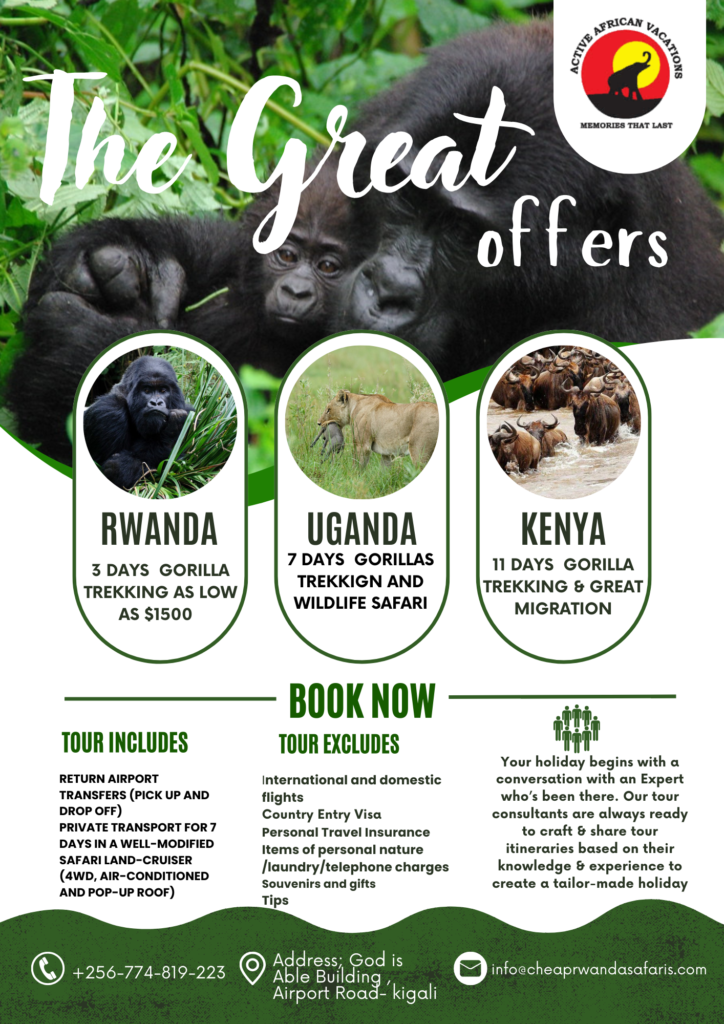 Rwanda gorilla safaris