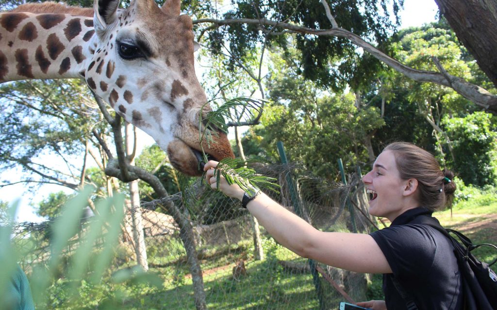 1 day behind the scenes experience at Entebbe Zoo